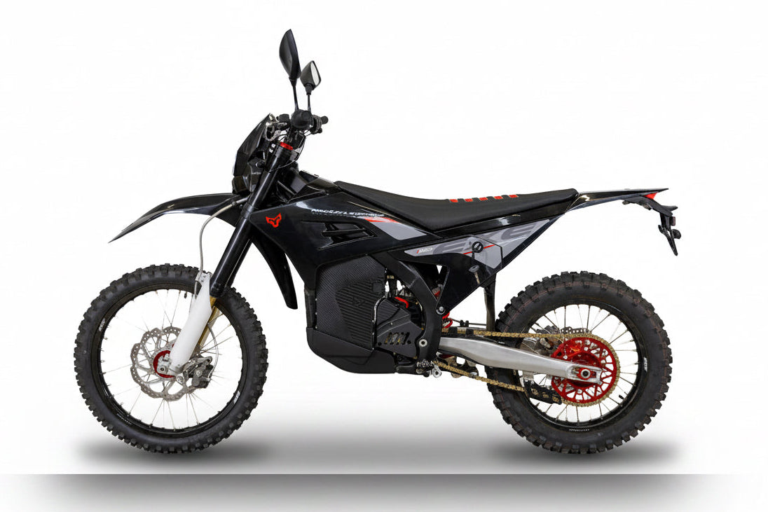 Arctic Leopard E-XE 800, homologiert, schwarz