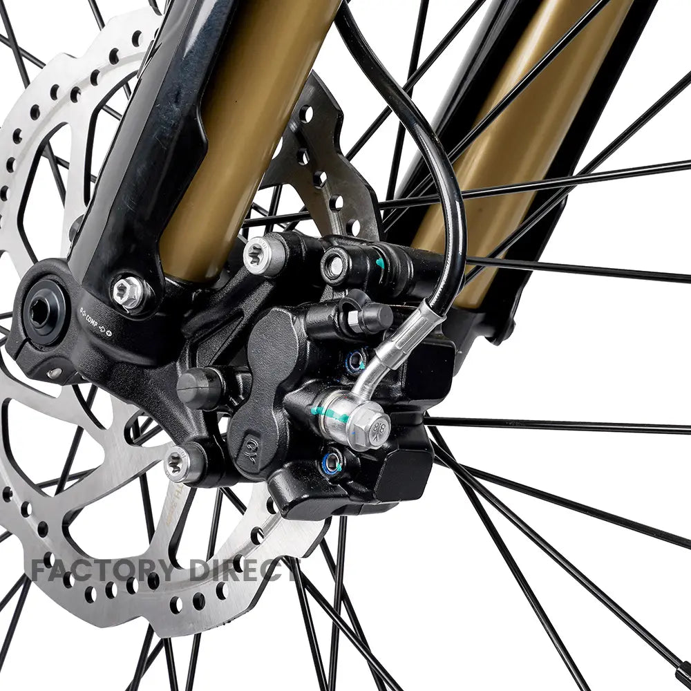 Arctic Leopard XE PRO R MX