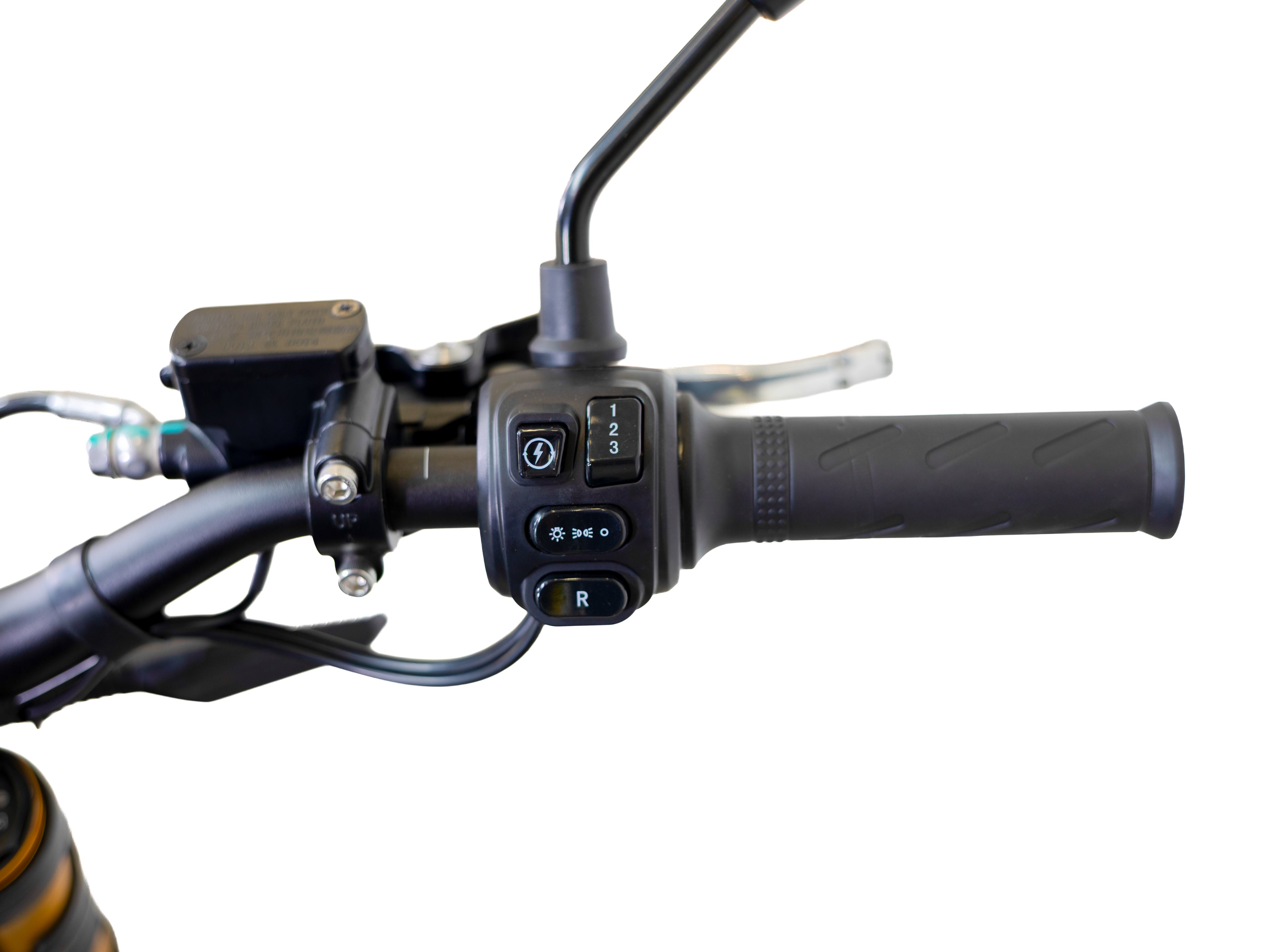 Arctic Leopard XE PRO R L1e – versión homologada